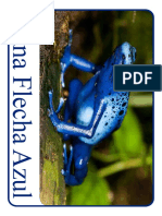 Rana Flecha Azul: Datos, Características y Hábitos de esta Especie Venenosa de 4 a 6 Años