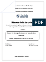 Thème: Impact Du Stress Professionnel Sur La Motivation Au Travail