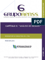 Capítulo X - Analisis de Riesgos