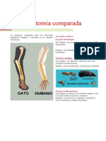 AnatomíaTercer GradoSecundaria