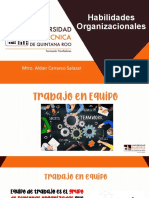 8 Habilidades Organizacionales