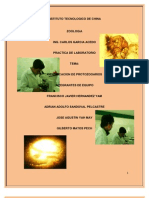 Practica 1 Identificacion de Protozoarios