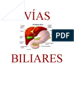 Vías Biliares