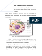 02aula EstruturasCelulares 1