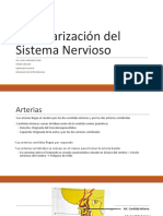 Vascularización Del Sistema Nervioso