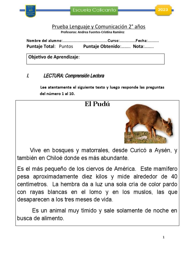 Prueba de Lenguaje 2° Básico | PDF