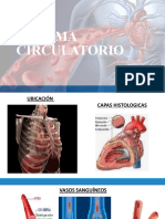 Clase Sistema Circulatorio