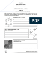 ¿Todos Los Seres Vivos Se Reproducen de Igual Forma?: Biologia Ii Primer Parcial de Biología I