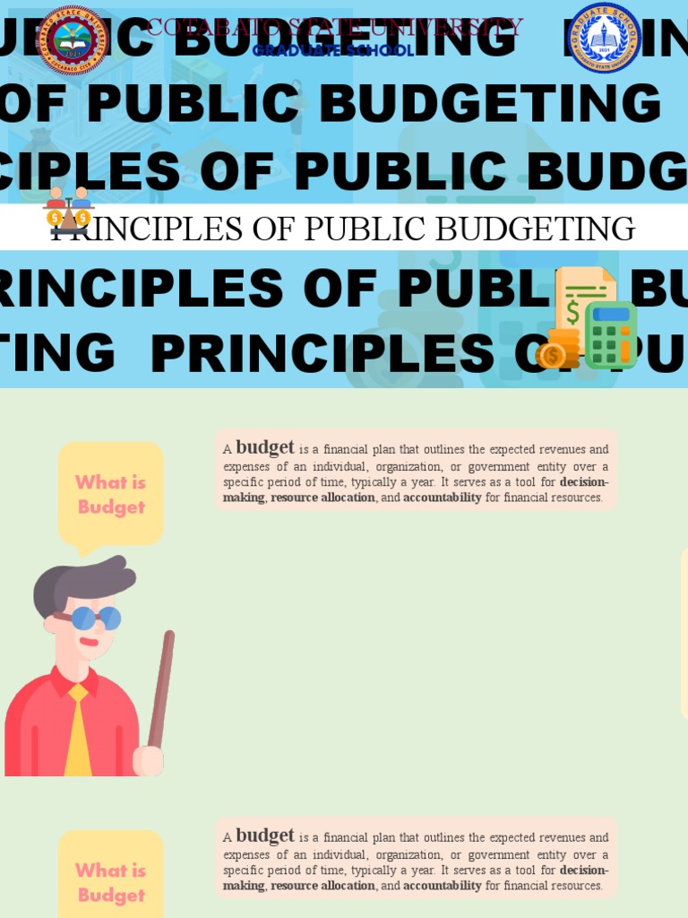 Principles of Public Budgeting PDF Budget Government Budget