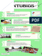 Infografia Montubios Filo