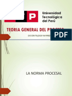 La Norma Procesal