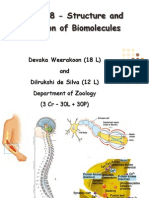 Biochemistry Lecture (Proteins)