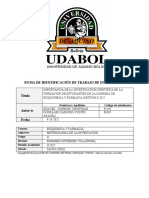 Ficha de Identificación de Trabajo de Investigación Título: Nombres y Apellidos Código de Estudiantes