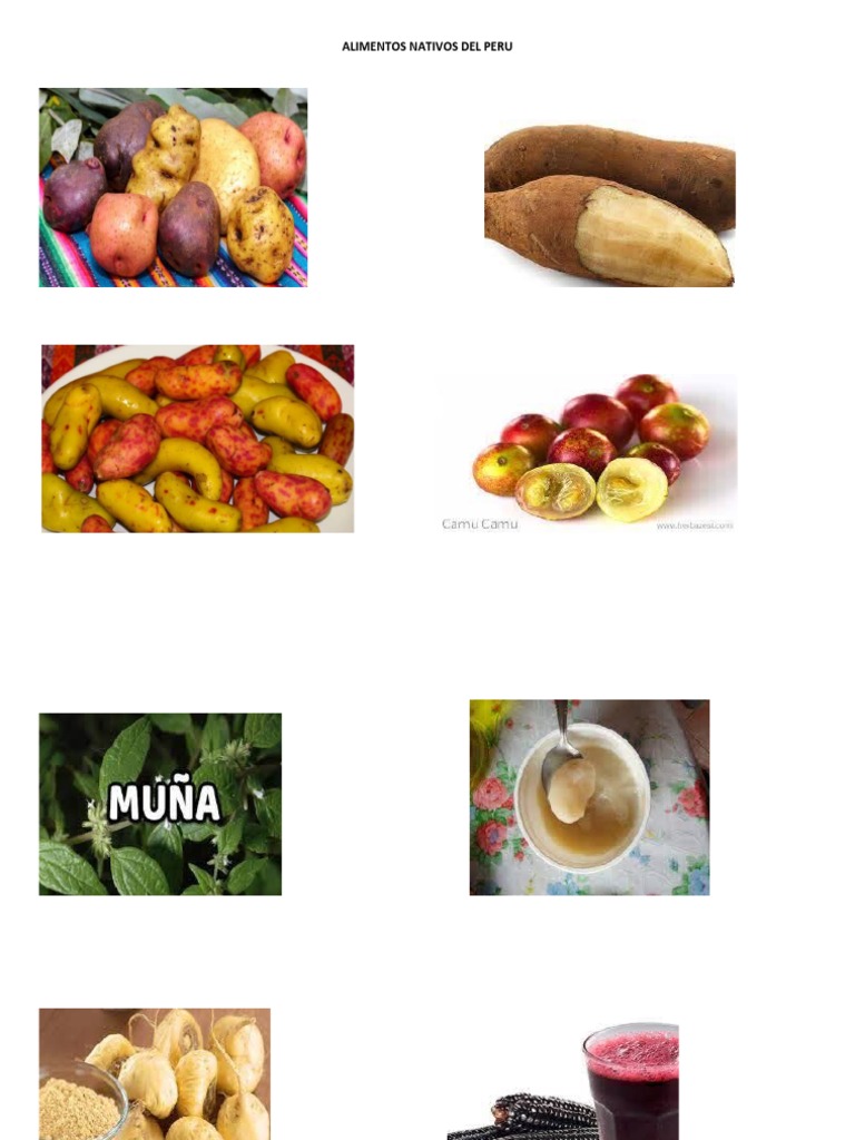 Alimentos Nativos del Perú | PDF