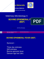Veterinary Microbiology II:: Bovine Ephemeral Fever (BEF)