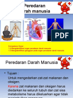 Sistem Peredaran Darah