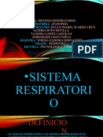 SISTEMA RESPIRATORIO ANATOMIA Equipo4