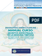 Manual Curso Manual Curso: Pranavida América Online