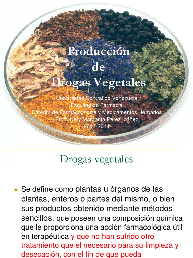 Tema 4 | PDF | Cannabis (Droga) | Plantas