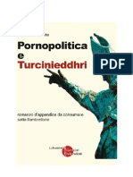 pornopolitica e turcinieddhri