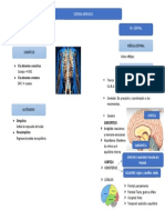 Sistema Nervioso
