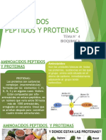 Aminoacidos Peptidos Y Proteinas: Tema #4 Bioquimica