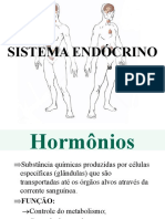 Sistema endócrino e seus principais hormônios