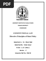 Directive principles of state policy - Copy