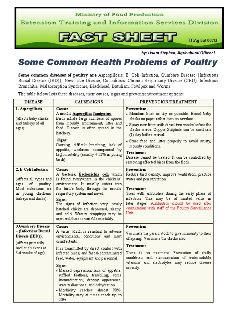 Common Poultry Health Problems