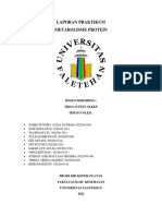 Metabolisme Protein Kelompok 4 Ibd