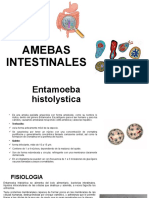 Amebas Intestinales