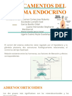 Medicamentos Del Sistema Endocrino