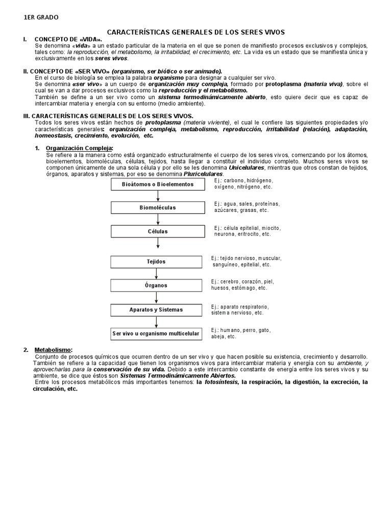 3 Características Generales de Los Seres Vivos | Descargar gratis PDF ...