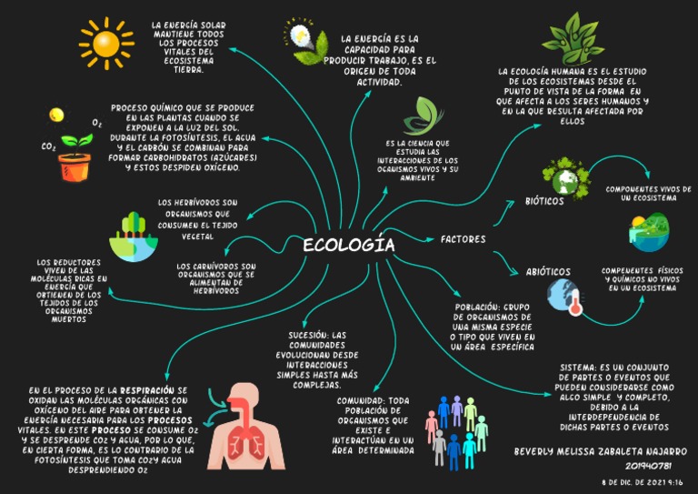 Mapa Mental de Ecología y Ecosistemas | PDF | Química