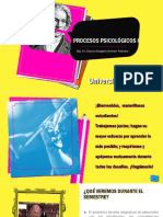 CLASE 1 y 2 PROCESOS PSICOLÓGICOS I