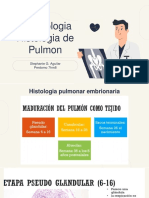 Neumologia Histologia de Pulmon: Stephanie G. Aguilar Perdomo 7hm8