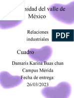 Universidad Del Valle de México: Relaciones Industriales