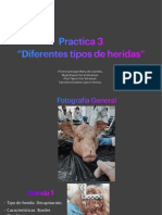 Practica 3 - Merged