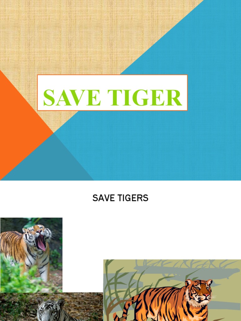 Save the Tigers Awareness Campaign | PDF