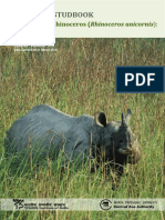 Rhinoceros (Rhinoceros Unicornis)