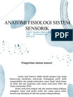 Anatomi Fisiologi Sistem Sensorik Vini