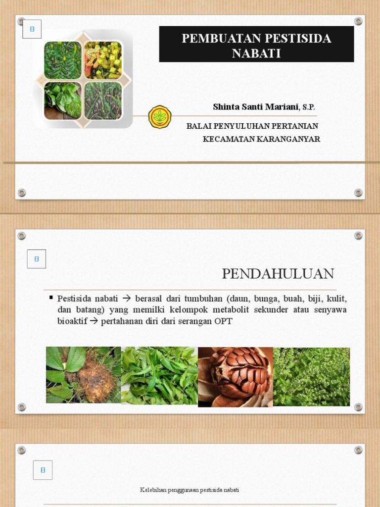 Pembuatan Pestisida Nabati Pdf