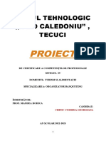 Liceul Tehnologic ,,ovid Caledoniu'', Tecuci: Proiect
