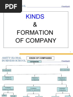 Kinds of Company-1