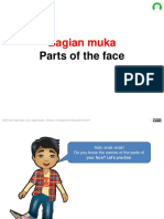 Bagian Muka: Parts of The Face