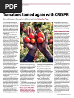 Tomatoes Tamed Again With CRISPR: Gene Editing Opens The Way To Healthier Crops, Finds