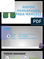 Sistem Pernapasan Pada Manusia