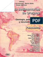 CUENCAS SEDIMENTARIAS de URUGUAY Geología Paleontología y Recursos Naturales Paleozoico 2006