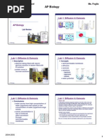 Download AP Lab Reviews by brittany SN6357592 doc pdf