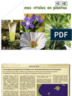 U3. Funciones Vitales en Plantas